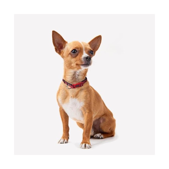 image imprimée ou numérique