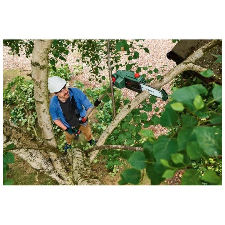 Elagueuse sur perche sans fil Bosch - UniversalChainPole 18 (Livré av
