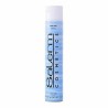 Couche de finition Hair Spray Salerm (650 ml)