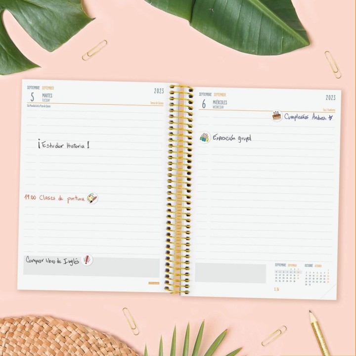 Carte postale microlorge