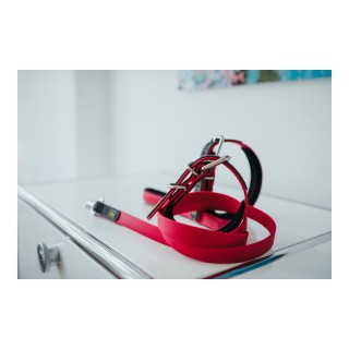 Carte postale microlorge