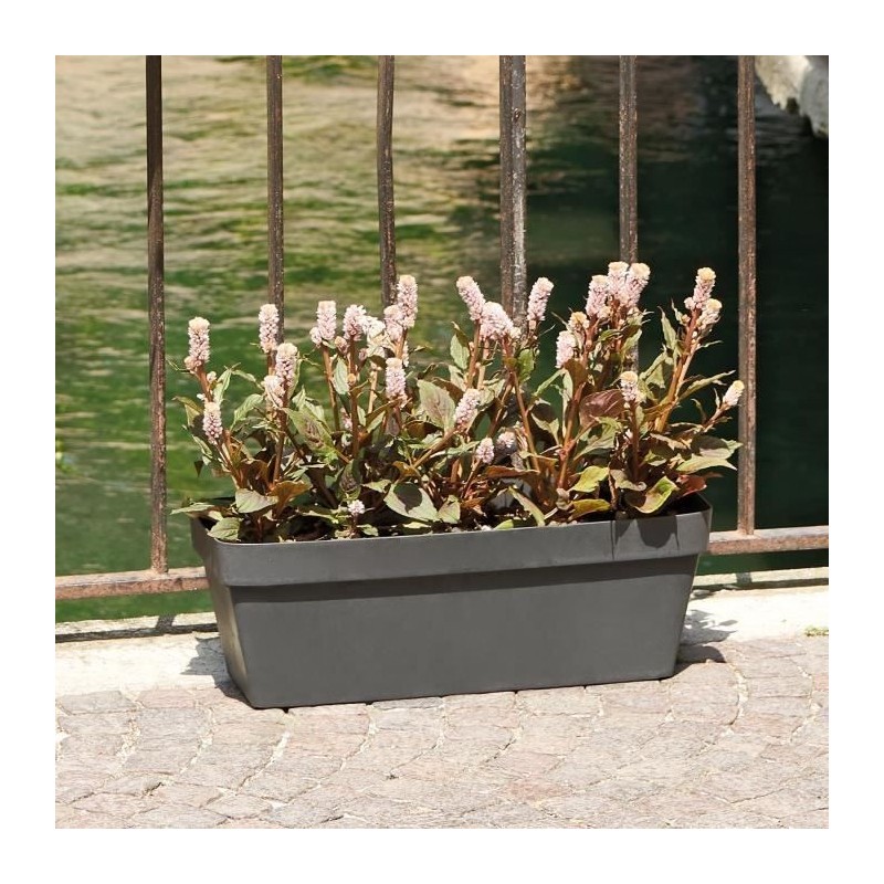 DEROMA Jardiniere Like anthracite - Coloris gris anthracite - 49x17cm