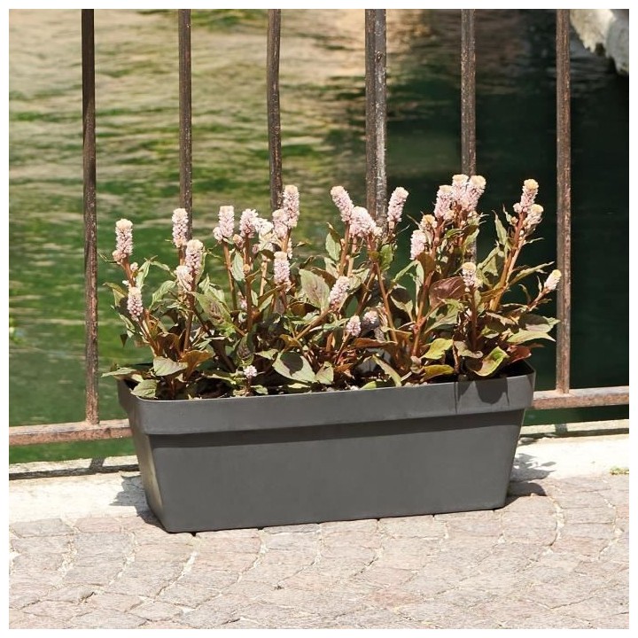 DEROMA Jardiniere Like anthracite - Coloris gris anthracite - 49x17cm