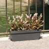 DEROMA Jardiniere Like anthracite - Coloris gris anthracite - 49x17cm