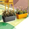 DEROMA Jardiniere Like anthracite - Coloris gris anthracite - 49x17cm