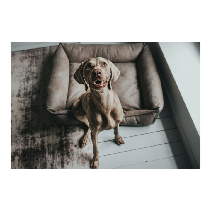 image imprimée ou numérique