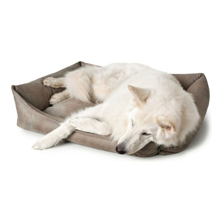 image imprimée ou numérique