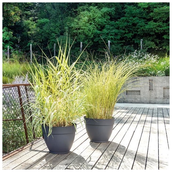 DEROMA Pot de fleurs a reserve d'eau Ninfea R Anthracite - 40 cm