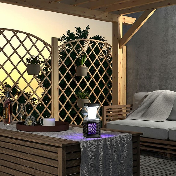 image imprimée ou numérique