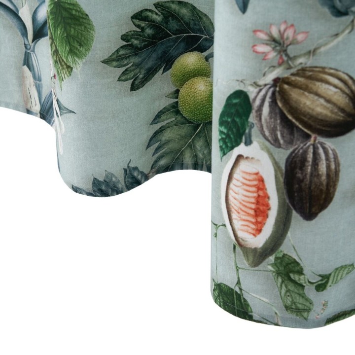 Carte postale microlorge