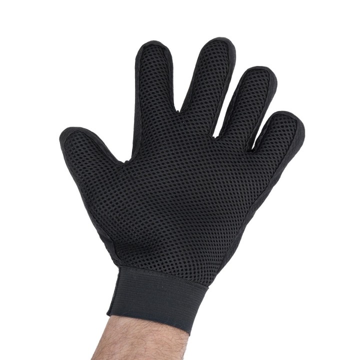 image imprimée ou numérique