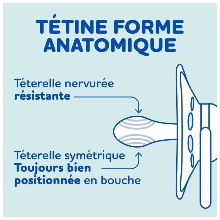DODIE Lot de 3 Sucettes Anatomiques Jour +18 mois - Bébé Ours