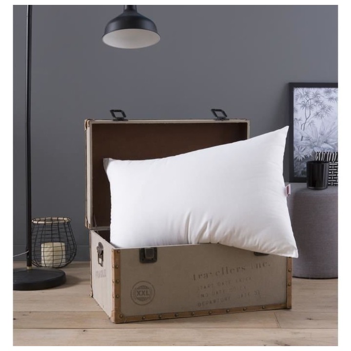 DODO Oreiller Grand luxe Quallofil Allerban 50x70cm