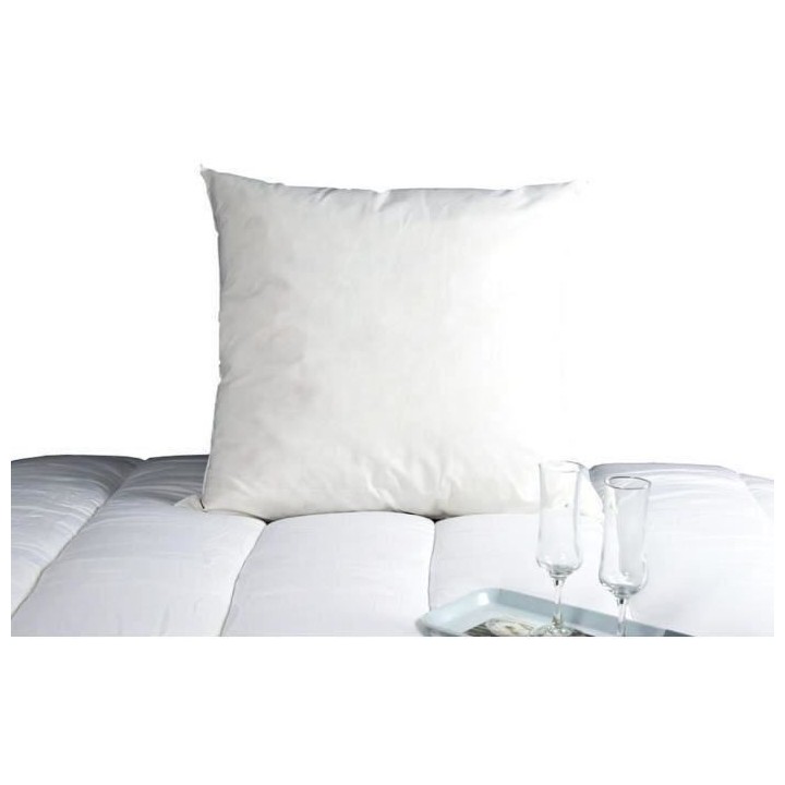 DODO Oreiller Duvet Oie MORZINE Anti-Acariens 65x65cm blanc