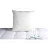 DODO Oreiller Duvet Oie MORZINE Anti-Acariens 65x65cm blanc