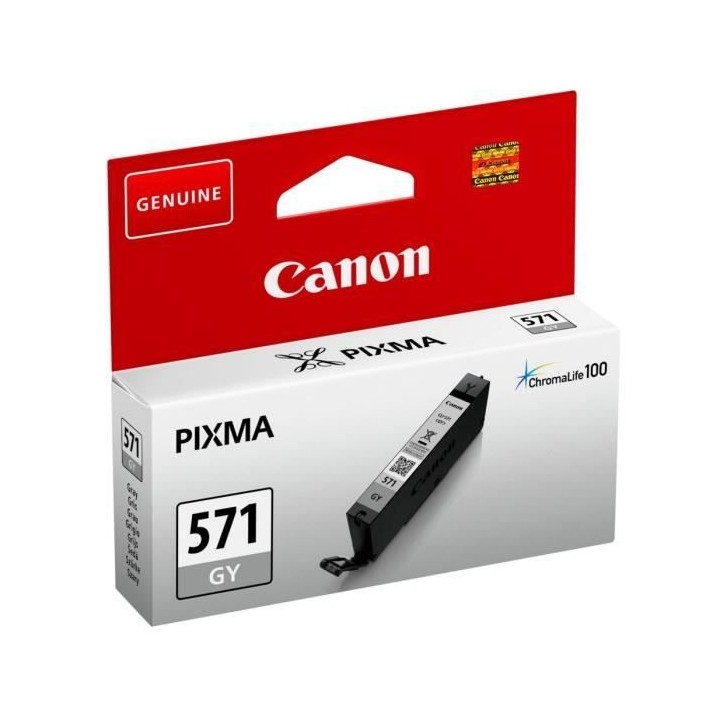 CANON Cartouche d'encre CLI-571GY Gris