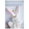 DOUDOU ET COMPAGNIE Lapin Fleurs - Doudou avec attache tétine