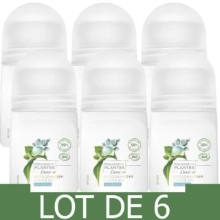 [Lot de 6] DOVE Déodorant Bille Bio Eucalyptus - Femme - 50 ml