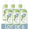 [Lot de 6] DOVE Gel de douche Naturel Senteur Eucalyptus - 250 ml