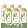 [Lot de 6] DOVE Gel de douche Naturel Senteur Gingembre - 250 ml