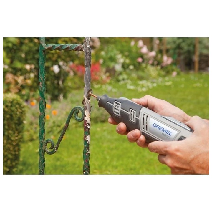 Coffret 20 accessoires DREMEL 684 (Coffret de nettoyage et polissage p