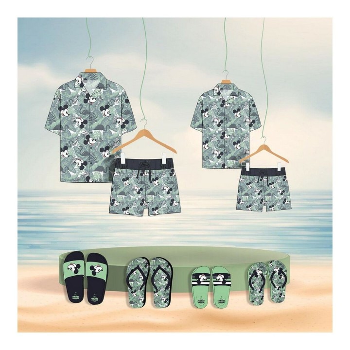 Carte postale microlorge