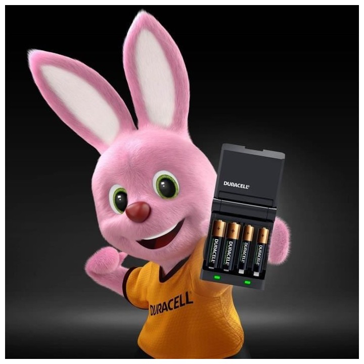 DURACELL Chargeur Piles Rechargeables Rapide 45 minutes