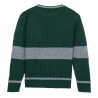 Pull unisex Harry Potter Vert