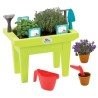 Ecoiffier La jardiniere garnie 31 cm 4290