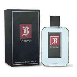 After Shave Puig 250 ml Homme