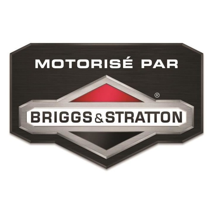 Tondeuse a gazon thermique autotractée 46cm 125cc Einhell GC-PM 46/1