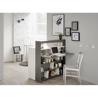 EKIPA Meubles multi fonction 2 portes + 1 tiroir - Gris ombre et Blanc