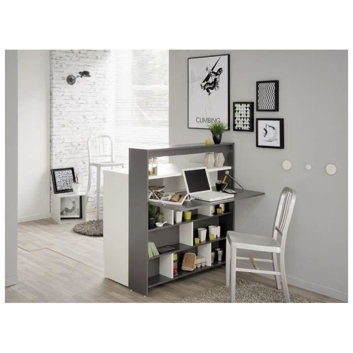 EKIPA Meubles multi fonction 2 portes + 1 tiroir - Gris ombre et Blanc