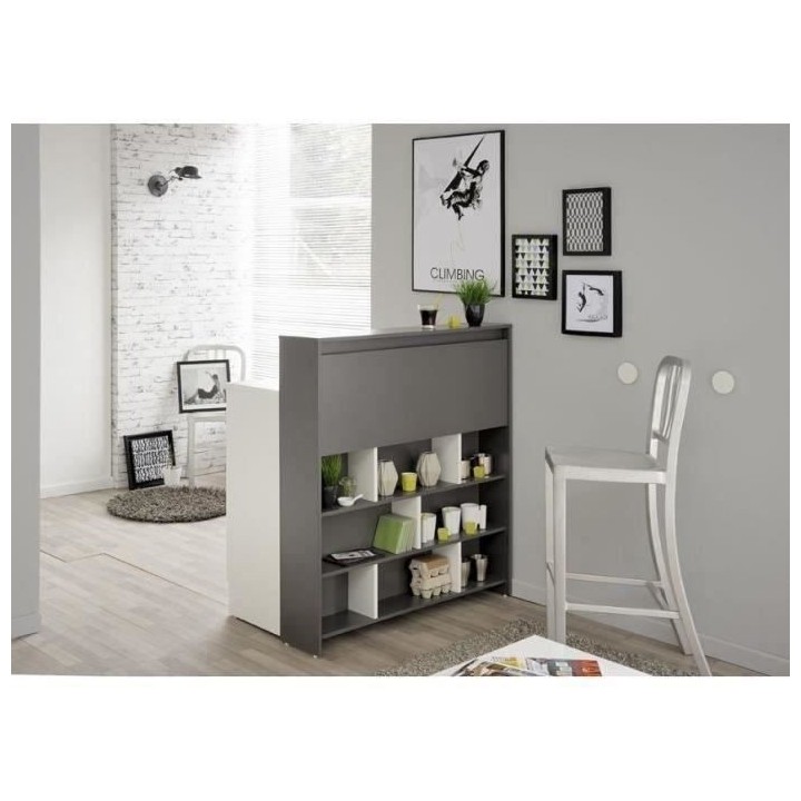 EKIPA Meubles multi fonction 2 portes + 1 tiroir - Gris ombre et Blanc