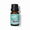 Huile corporelle Daffoil Aceite Esencial Menthe 10 ml