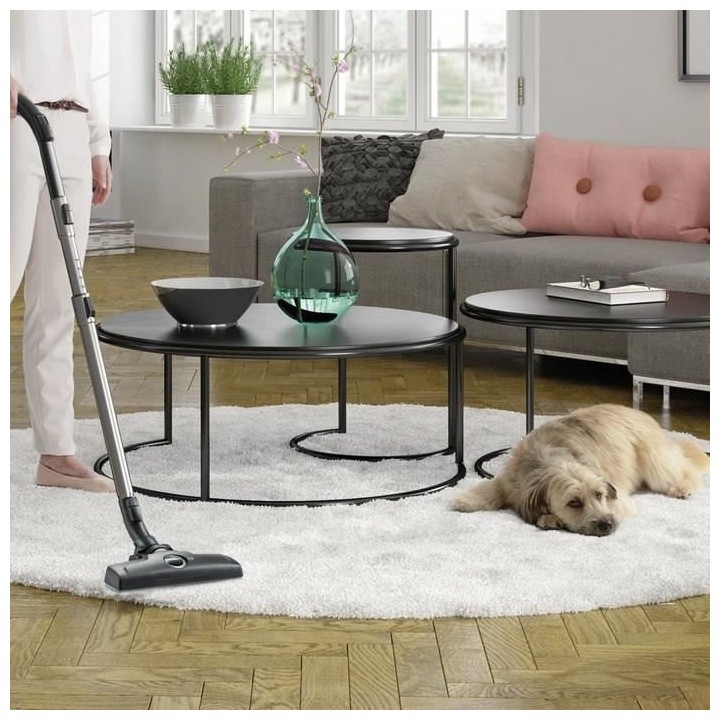 ELECTROLUX Silent Performer Eco ESPC7GREEN - Aspirateur traineau sans