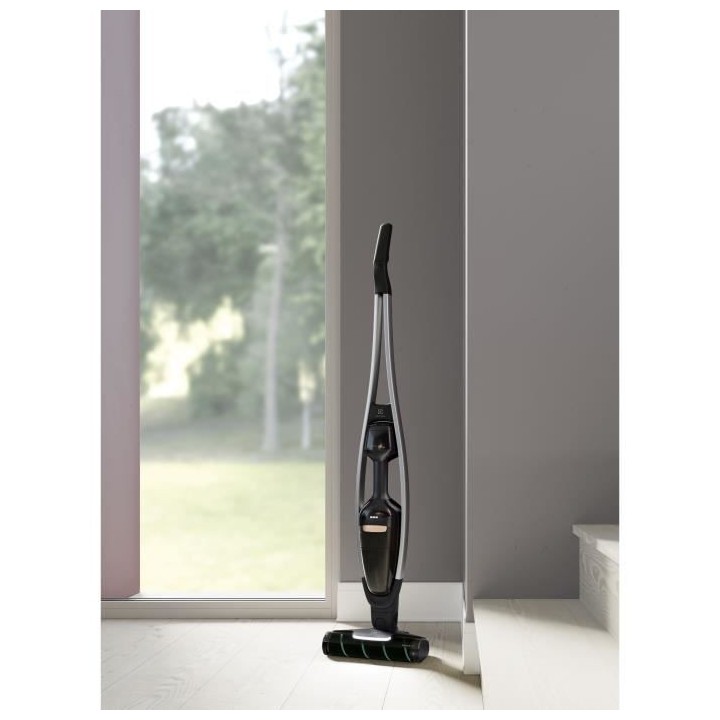 ELECTROLUX PQ91-P40GG - Aspirateur Balai 21,6V LITHIUM- Corps Aluminiu