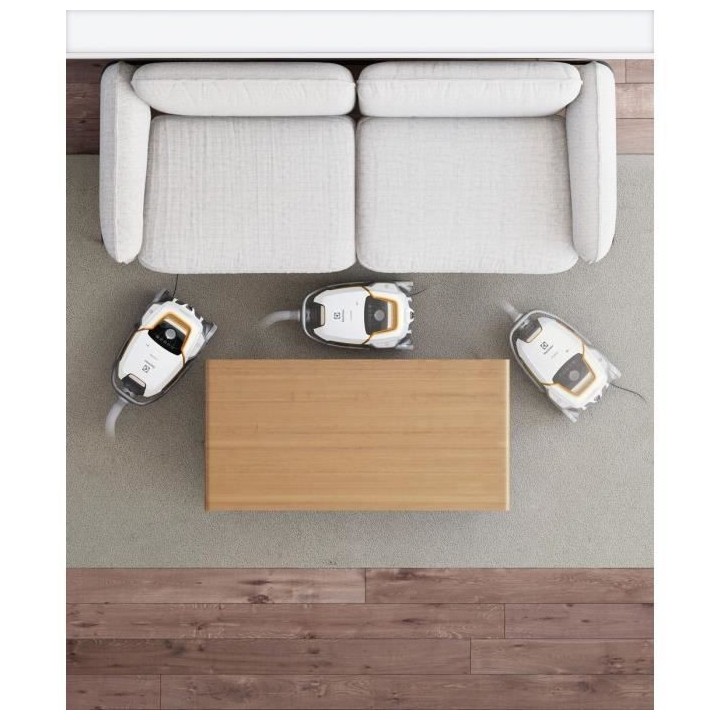 ELECTROLUX EUOC93IW - Aspirateur traineau avec sac - silencieux 66db -