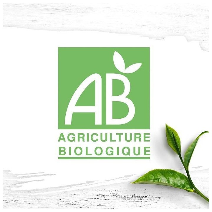 ELEPHANT Coffret Découverte Infusions Bio Bien etre - 40 sachets