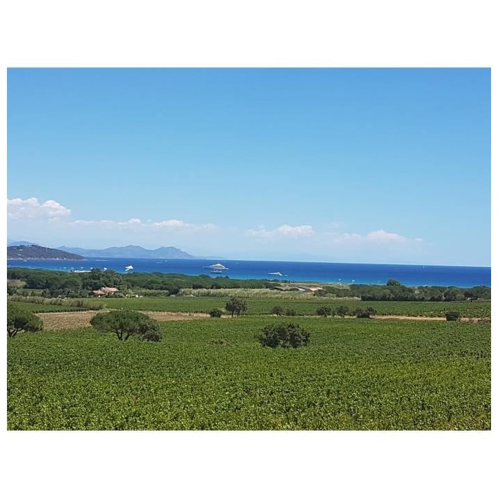 La Cuvée Elegance Côtes de Provence - Vin rosé de la Provence