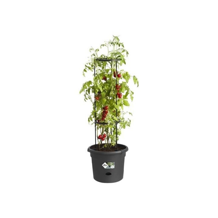 ELHO Pot a tomate Green Basics - 33 cm - Noir vif