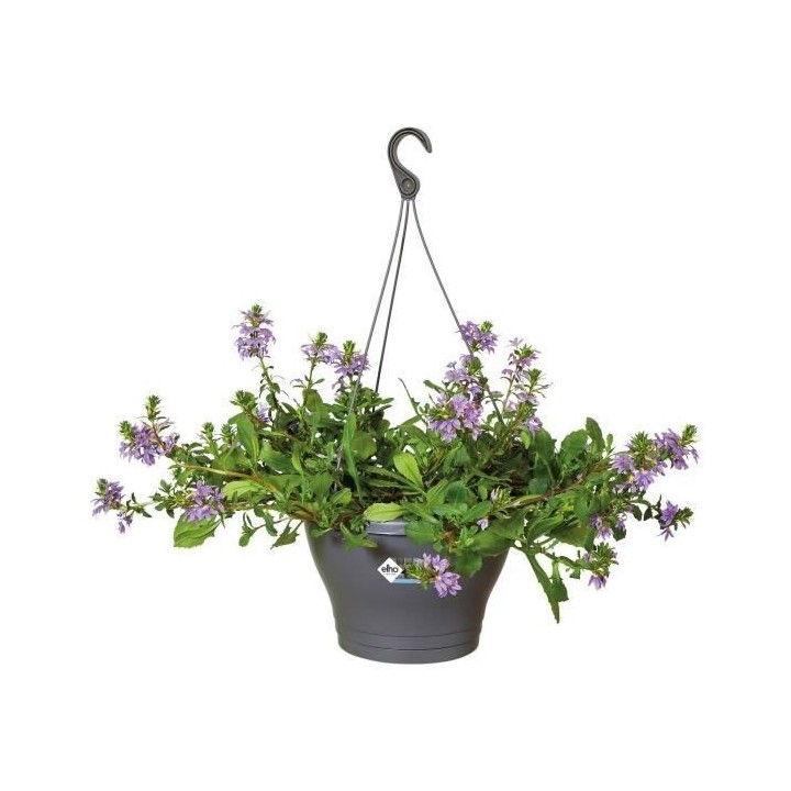 ELHO Pot de fleurs a suspendre Corsica 30 - Gris anthracite - Extérie