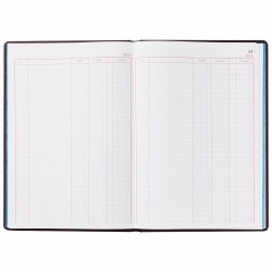 Livre de comptes Miquelrius 4022 Marron A4 100 Volets