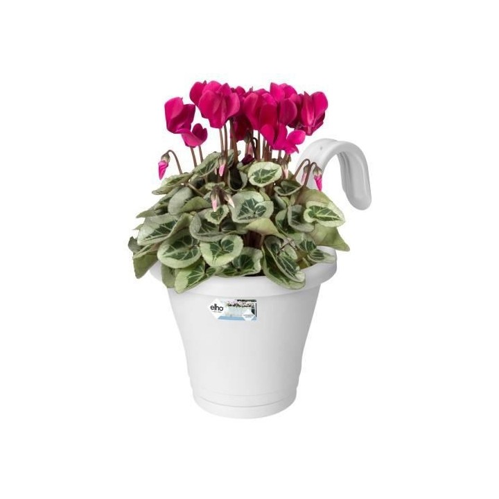 ELHO Jardiniere de balcon Corsica Simple - Blanc - Extérieur & Balcon