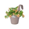 ELHO Jardiniere de balcon Corsica Simple - Taupe - Extérieur & Balcon - L 19,4 x W 27,1 x H 25,9 cm