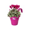 ELHO Jardiniere de balcon Corsica Simple - Rose cerise - Extérieur & Balcon - L 19,4 x W 27,1 x H 25,9 cm