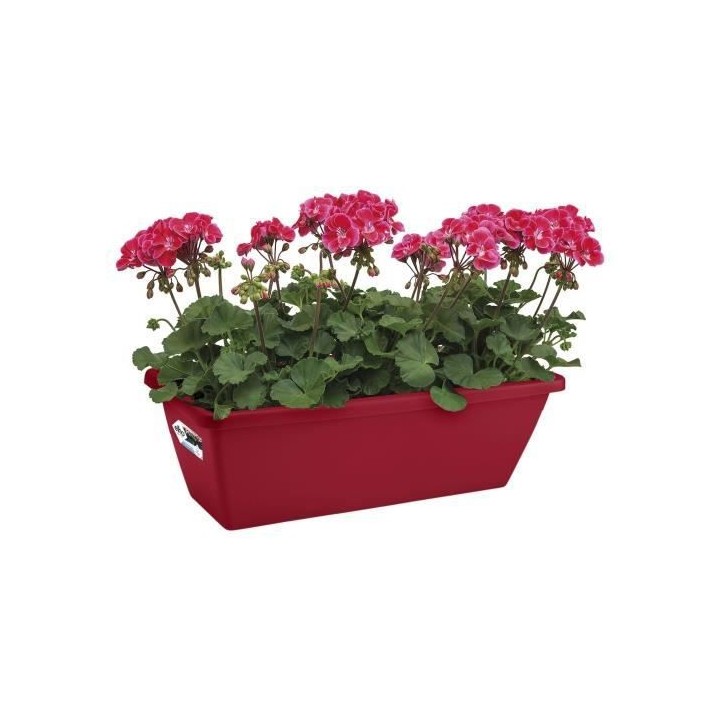 ELHO Balconniere Barcelona 40 - Fruits rouges - Extérieur & Balcon -