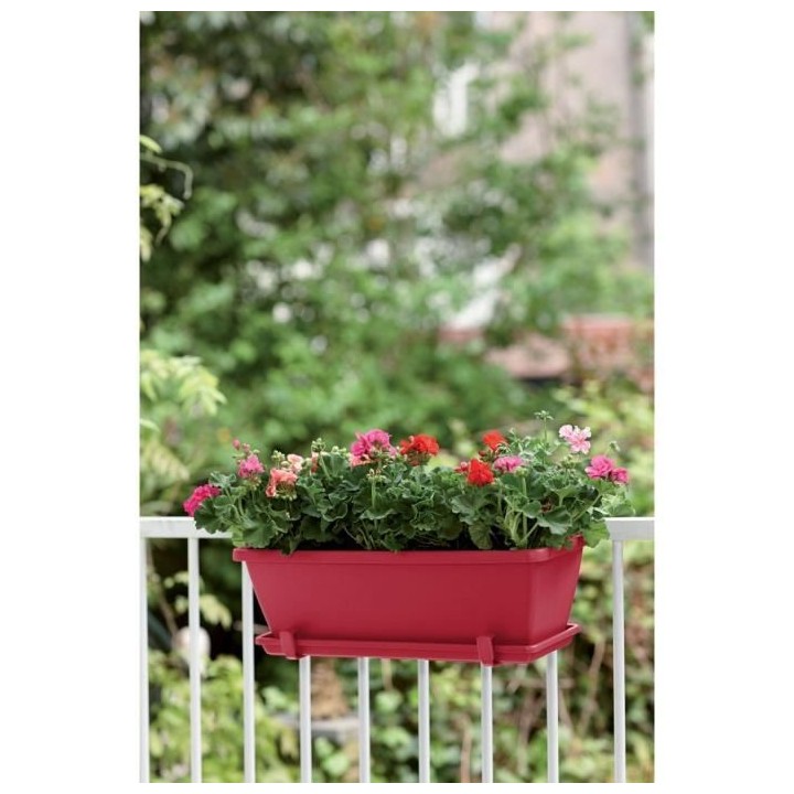 ELHO Balconniere Barcelona 40 - Fruits rouges - Extérieur & Balcon -