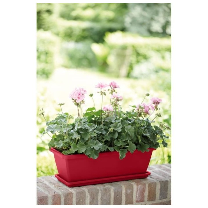 ELHO Balconniere Barcelona 40 - Fruits rouges - Extérieur & Balcon -