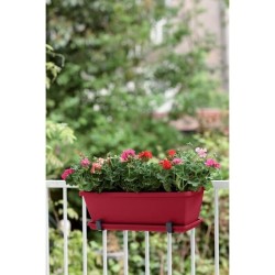 ELHO Balconniere Barcelona 50 - Fruits rouges - Extérieur & Balcon - L 19,5 x W 50 x H 15,6 cm